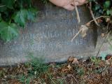 image of grave number 734029